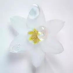 fleur d'Edelweiss-actif puissant du shampooing blond ultra-violet kerastase