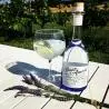 cocktail avec le Gin saint amans original dans un verres-meilleur gin français