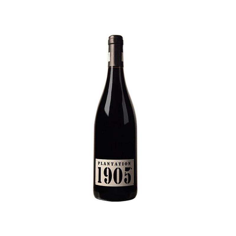 Plantation 1905 bouteille de vin rouge-IGP Coteaux de Peyriac Plantation 1905 bouteille de vin rouge-IGP Coteaux de Peyriac